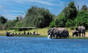 Chobe