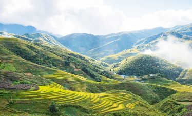 Sapa – Mountain & Rice Terrace Views
